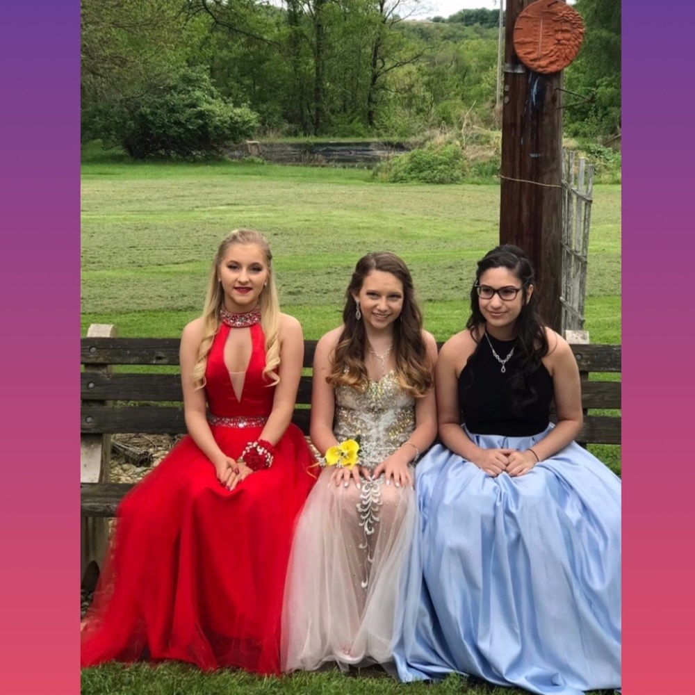 Prom Dress - Picture 7 of 7